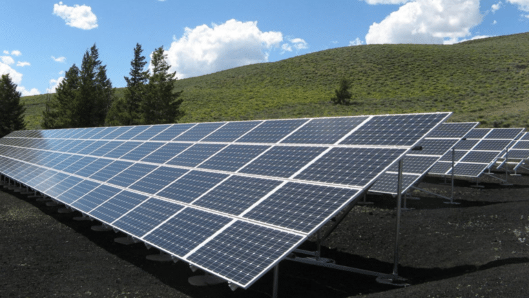 1000m2 panneau solaire.png