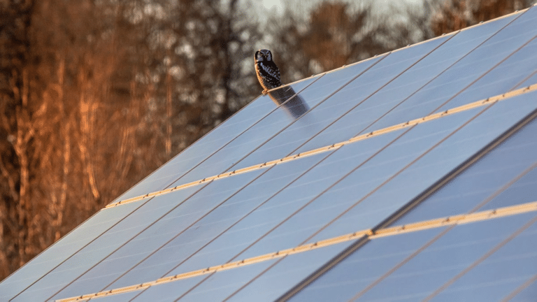 comment fonctionne energie solaire1.png