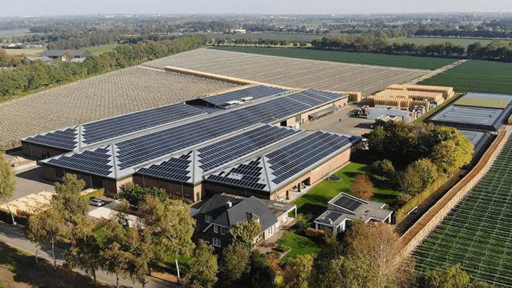 L'histoire épique de SunPower