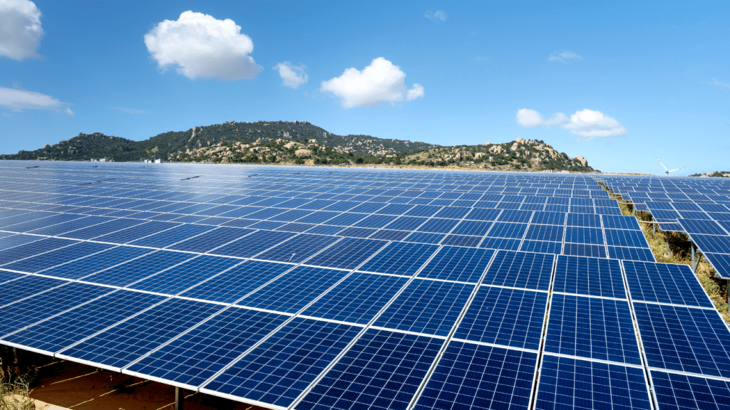 Les tops des meilleurs panneaux solaires en 2024