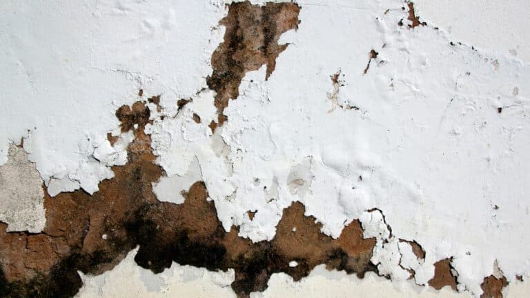 injection de résine dans les murs pour lutter contre l'humidité