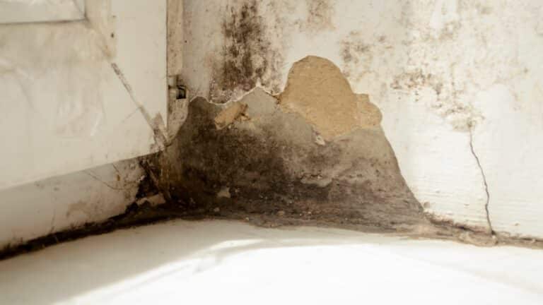 problèmes d'humidité dans les murs