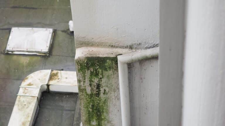 quels facteurs influencent le coût du traitement contre l'humidité en rénovation