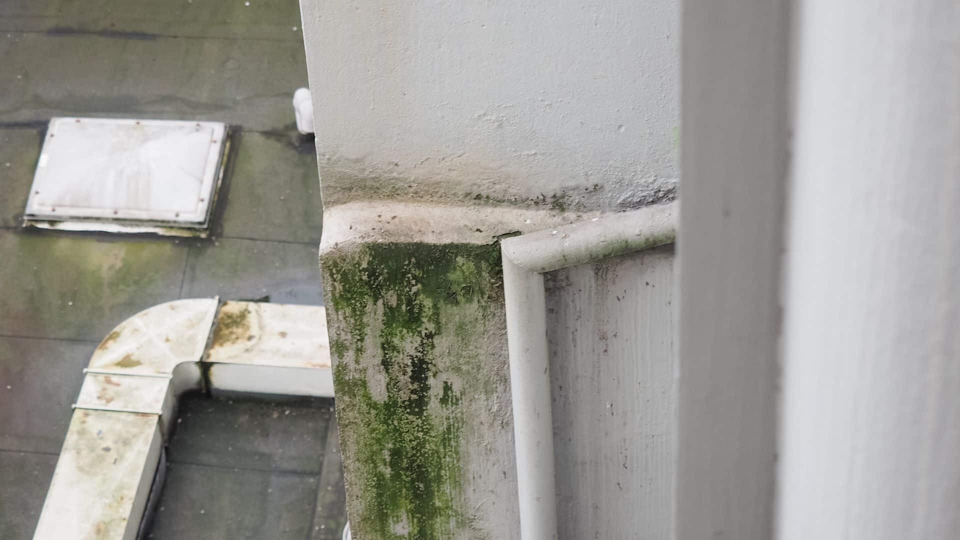quels facteurs influencent le coût du traitement contre l'humidité en rénovation