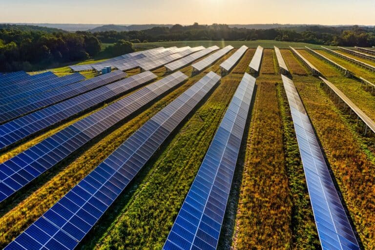 nouveaux panneaux solaires agricultures