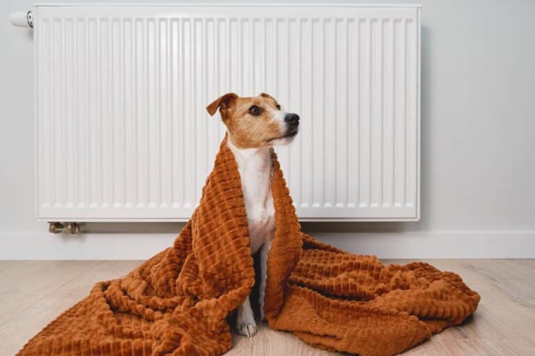 poêle à granulés, pompe à chaleur ou chauffage solaire