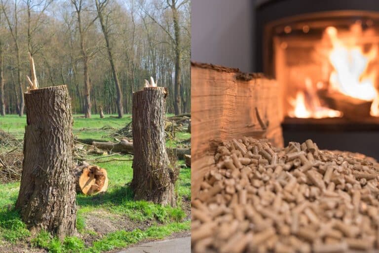 se chauffer au bois nuit il vraiment aux forêts