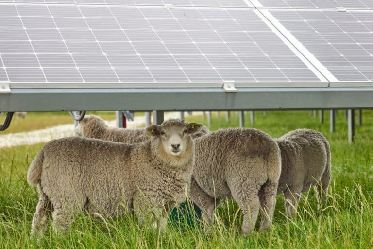 l’agrivoltaïque