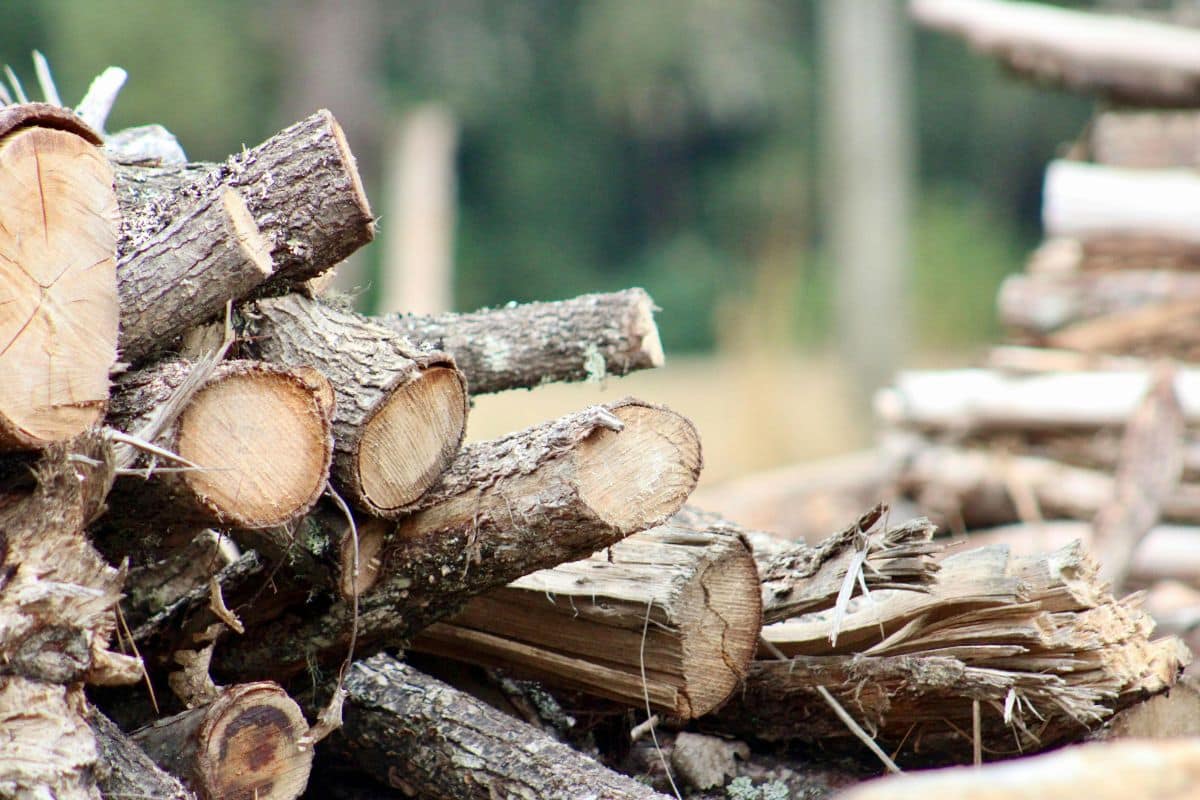 arnaque au bois de chauffage