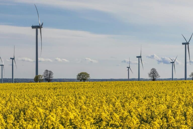 ivre d'énergies renouvelables l'australie