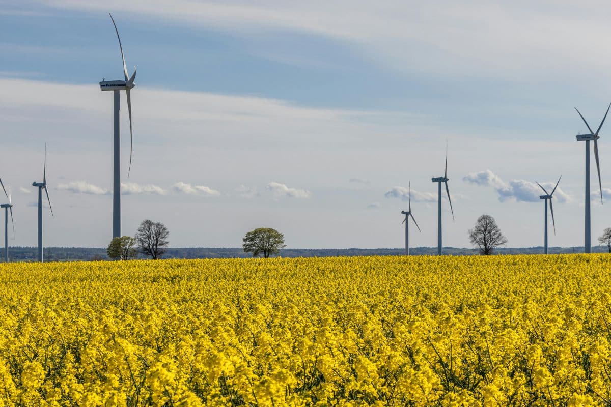 ivre d'énergies renouvelables l'australie