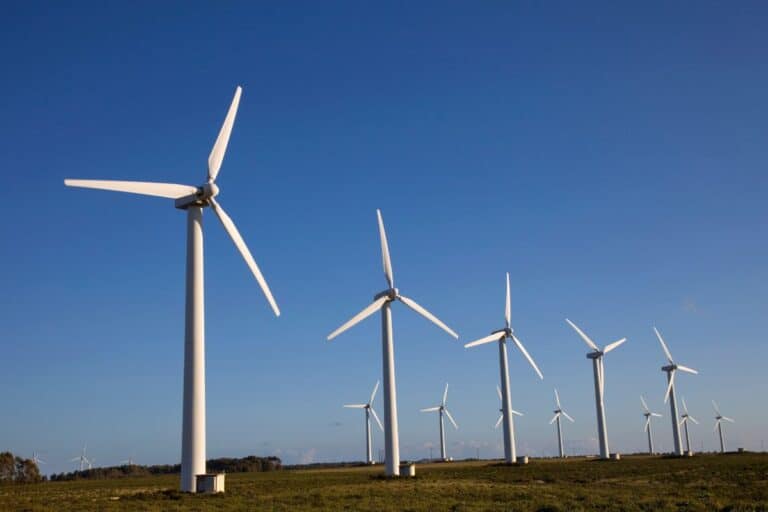 marché éolien français