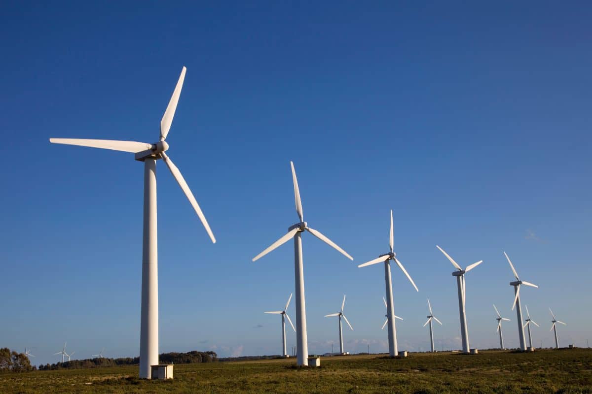 marché éolien français