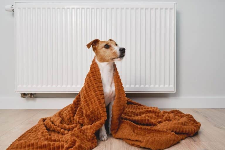 optimiser budget énergie avant l’hiver