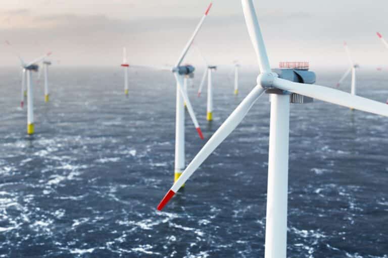 totalenergies l’éolien en mer