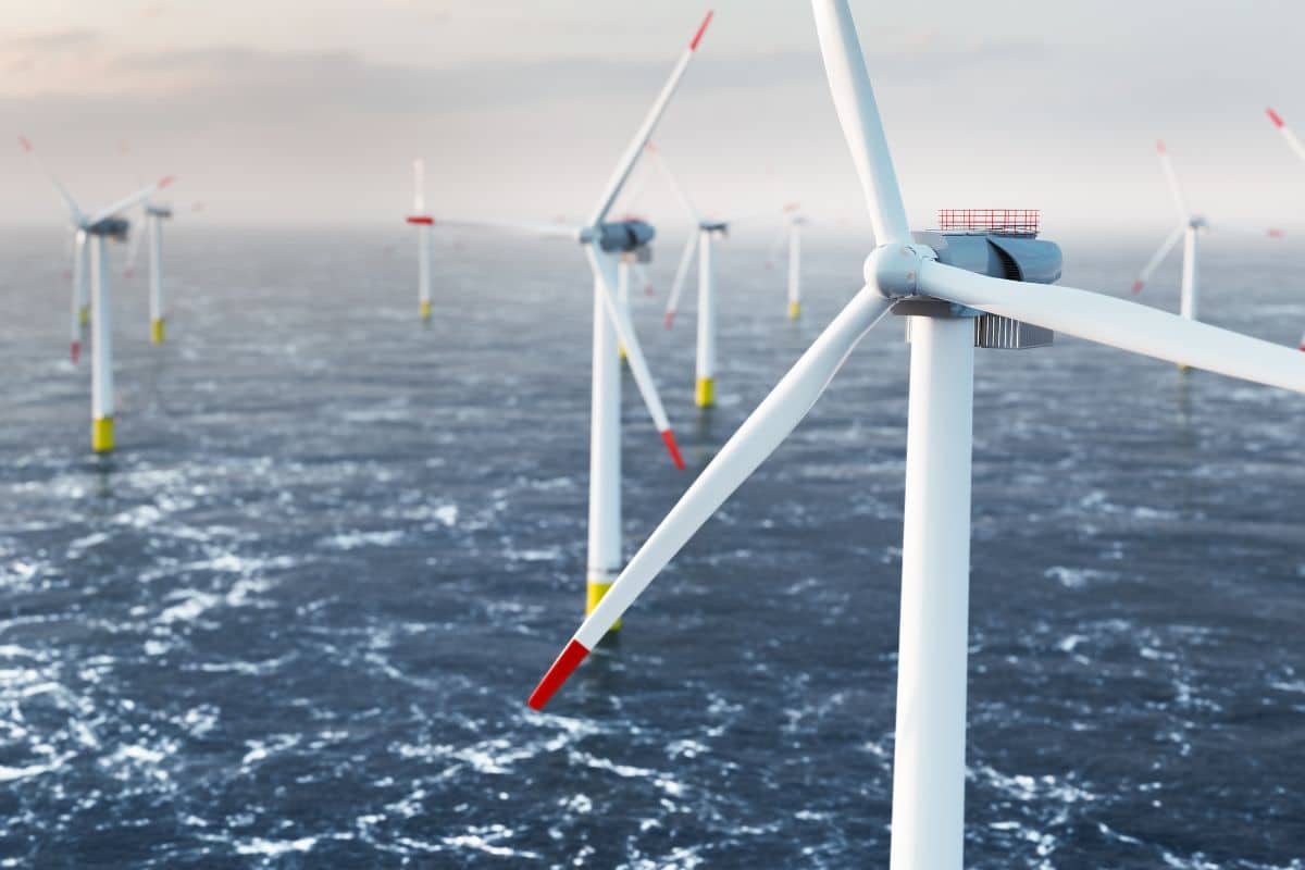 totalenergies l’éolien en mer