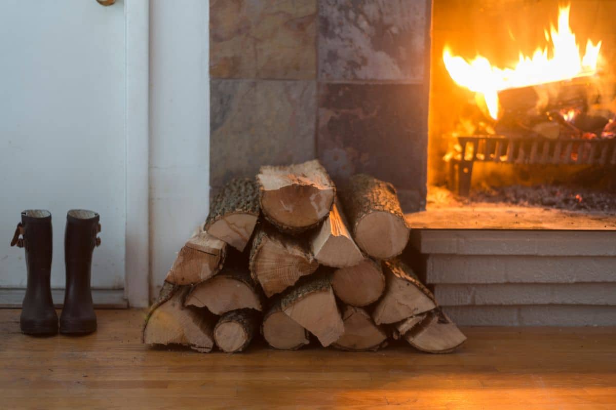 bois chauffage essence arbre chauffe mieux