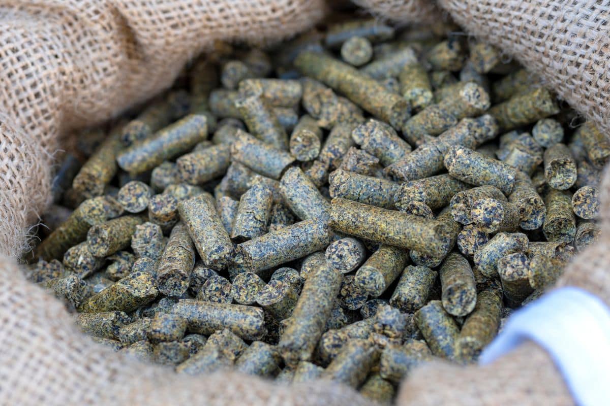 chauffage aux pellets