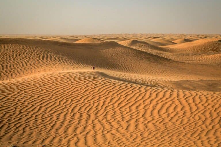 recouvrir désert sahara panneaux solaires