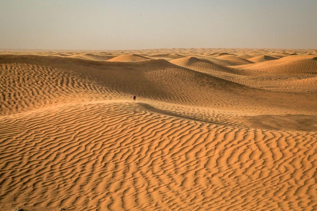 recouvrir désert sahara panneaux solaires
