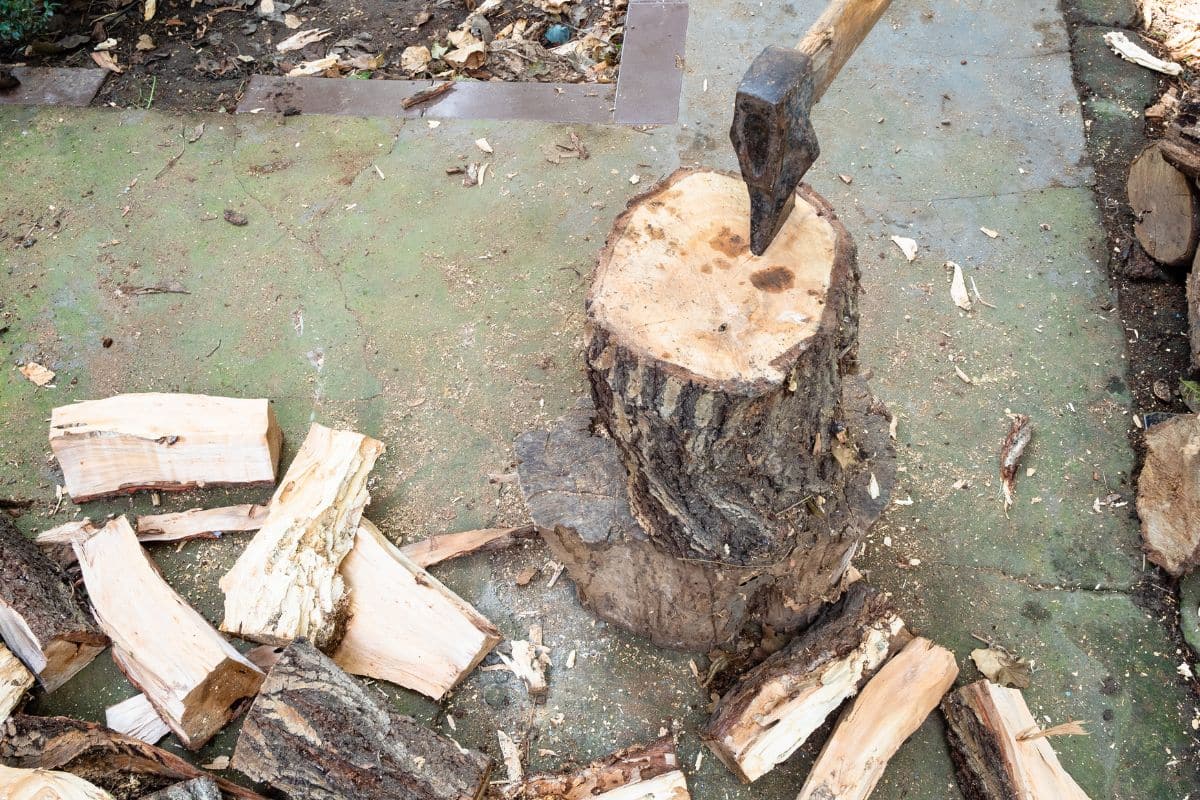 bois de chauffage gratuit