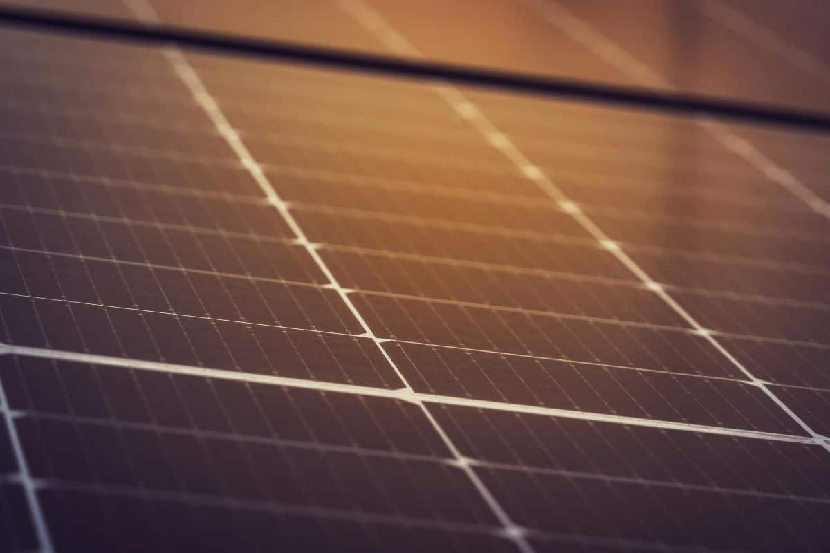 panneaux solaires nettoient comme arbres