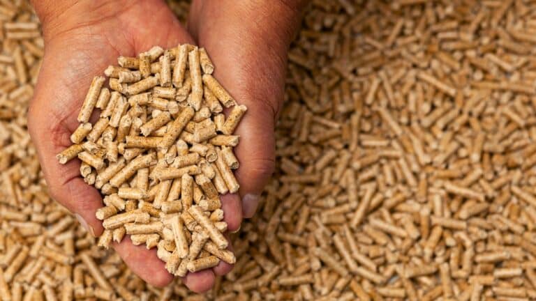 pellets inutilisables après stockage comment éviter la dégradation et protéger votre chauffage