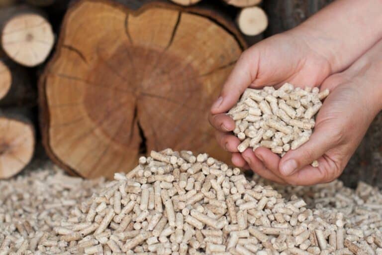 granulés bois tamiser pellets