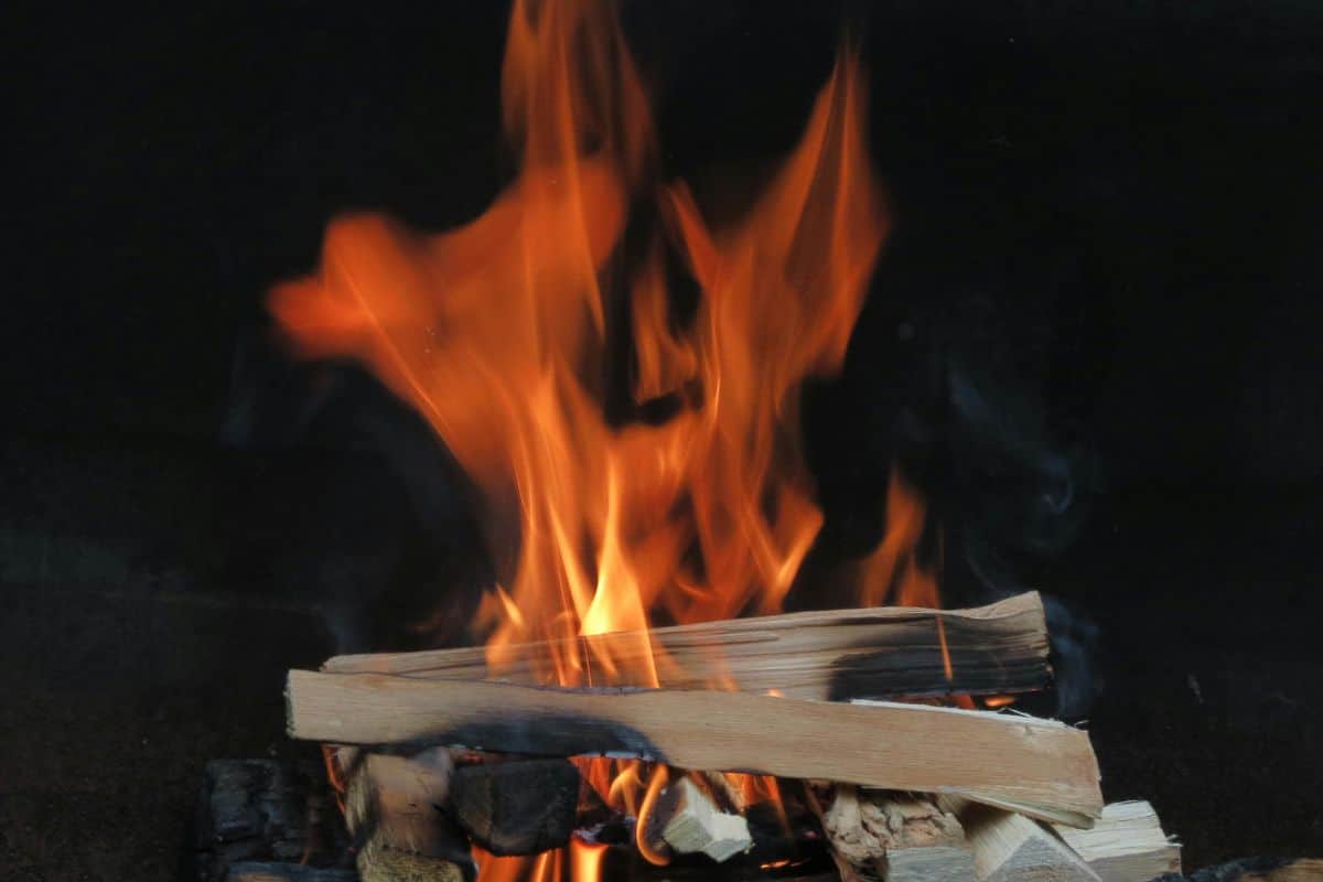 habitude hivernale commune